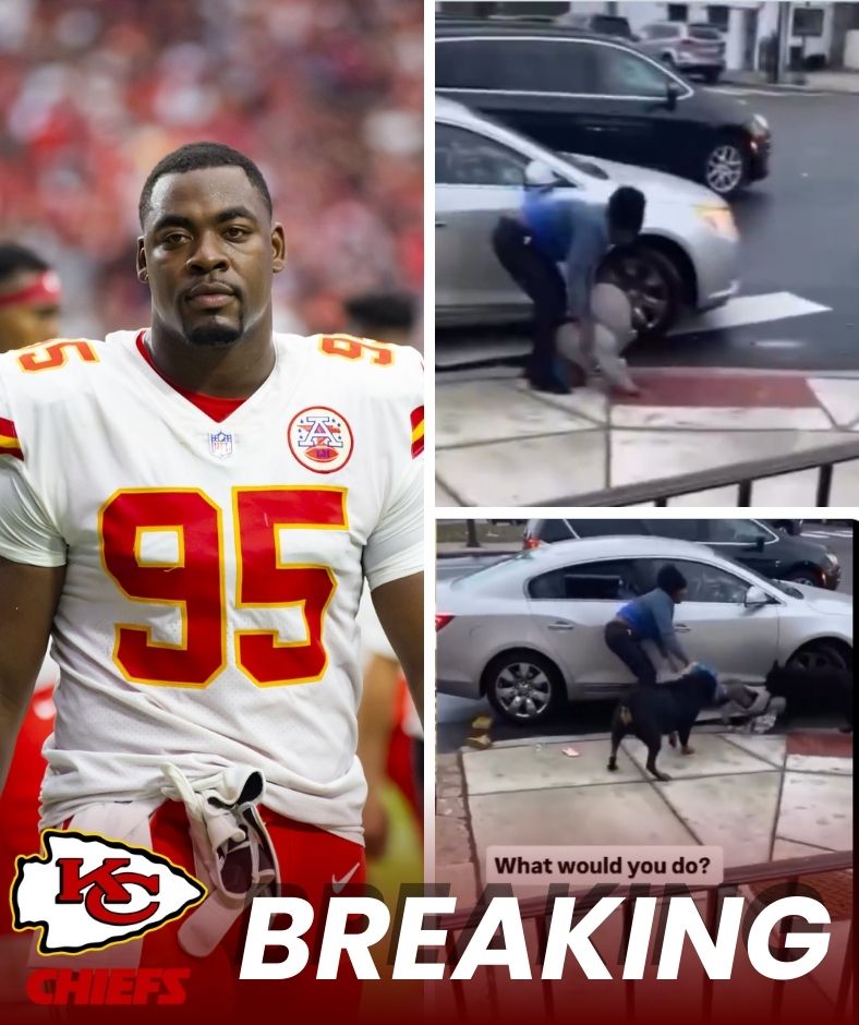 MOMENT OF HORROR! Desperate cries, the figure of a mother running away, a child in the clutches of a cold-blooded dog – Chris Jones became a hero in the moment of life and death, leaving the whole crowd standing still, unable to believe their eyes… AL