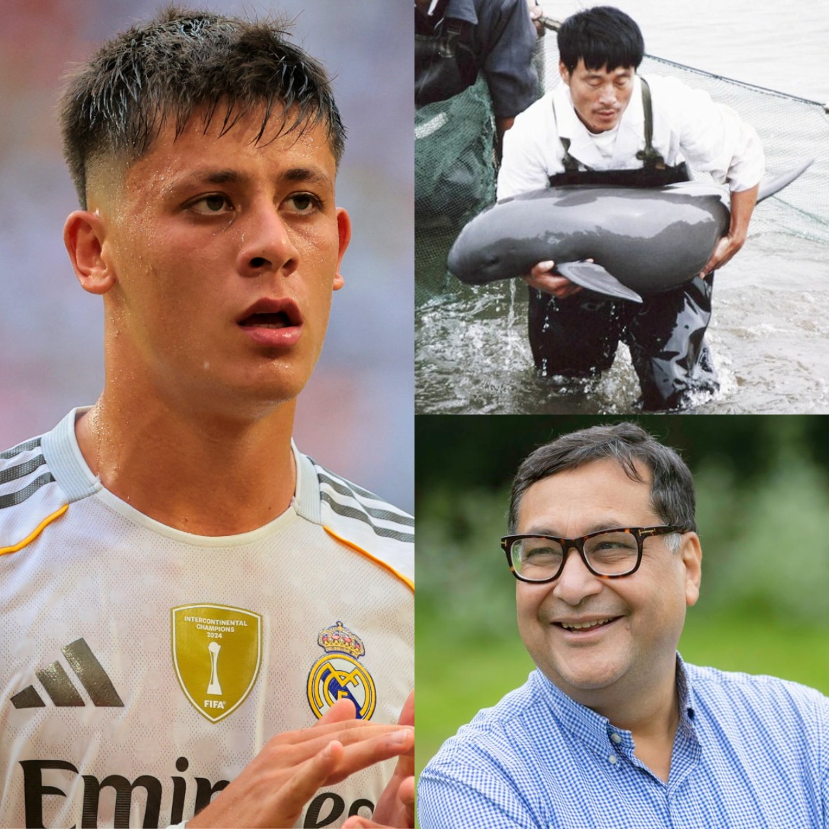 BIG MOVE: Real Madrid star Arda Güler has announced that he will donate his ENTIRE BONUS SALARY for 2024 to support WWF – the world’s largest conservation fund, with the aim of SUPPORTING projects against pollution and overfishing to PROTECT rare dolphin species such as the Irrawaddy dolphin and the Yangtze River dolphin. He shared: “Football gives me fame, but nature gives us life, and I cannot stand by and watch them disappear”, he made many fans cry…