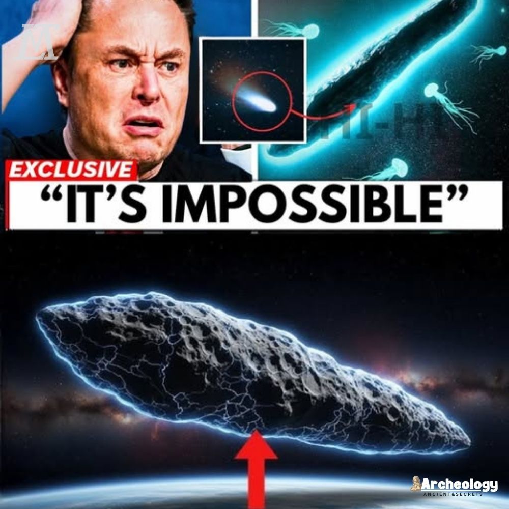 COSMIC SHOCK: Comet 3i/Atlas unexpectedly challenges modern physics — Elon Musk realizes humanity no longer controls anything, unprecedented cosmic risk. AL