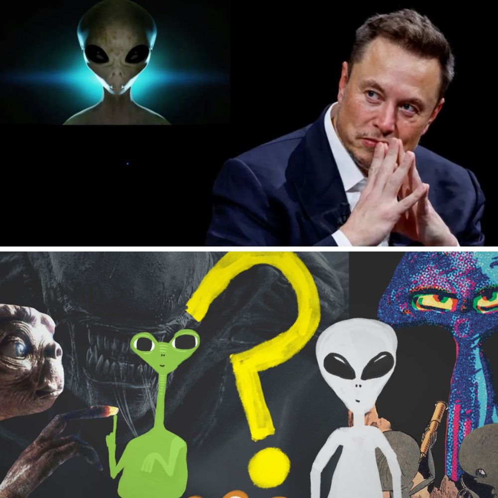 Elon Musk Reveals Alien Mystery – Information That No One Dare to Mention. YN