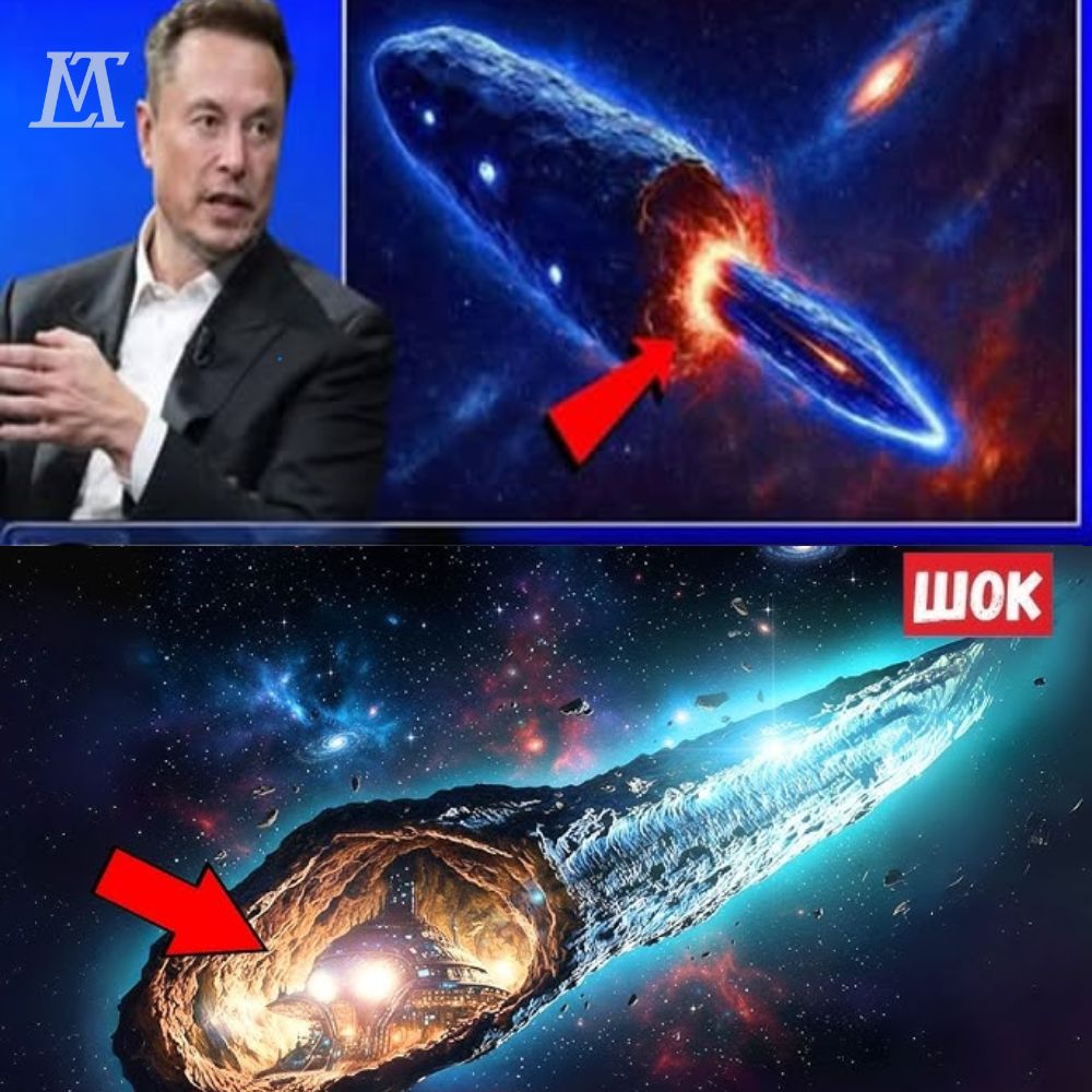 MYSTERY OF THE UNIVERSE REVEALED! Webb Telescope records Betelgeuse emerging from 3I/ATLAS, Elon Musk exclaimed: “The universe is rewriting every law we know! AL